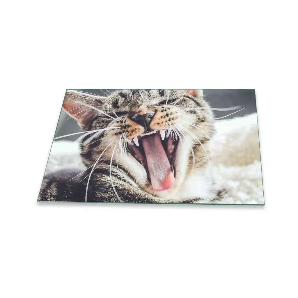 Piastra Vetro Piano Cottura 80x52 Cat Grigio | Offerta Protezione Cucina