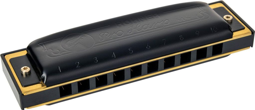 Hohner Pro Harp MS Richter-F Sharp Diatonisch Mundharmonika