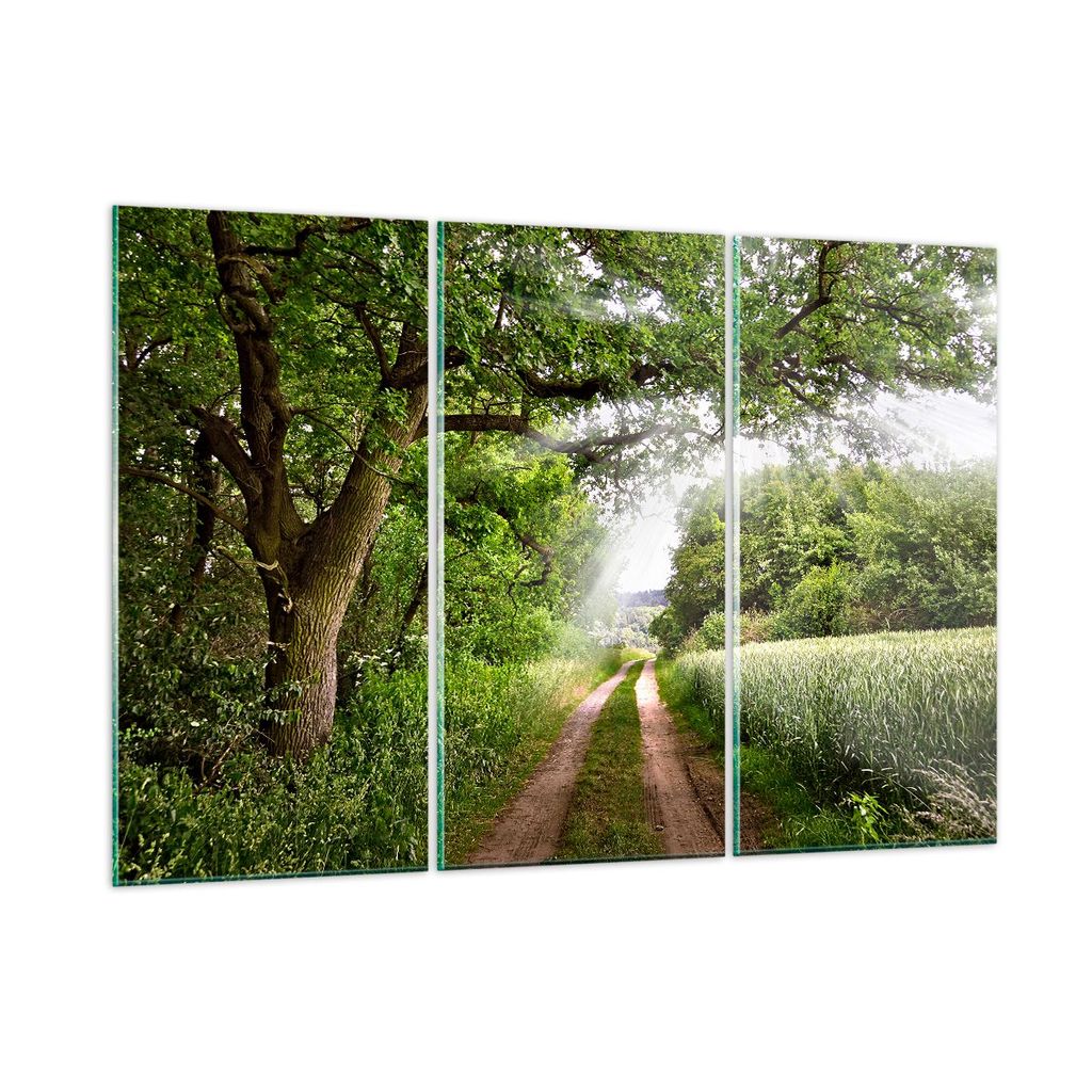 Bilder auf glas - Pfad Natur Wald Grün - 105x70cm - Glasbilder - Wandbilder - Kunstdruck - zum Aufhängen bereit - Wanddekoration aus Glas - Glas ...