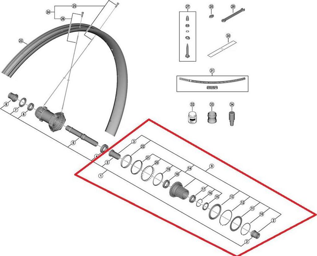 SHIMANO Freilaufkörper Austauschpaket MICRO SPLINE 12-fach - moderne Ausführu...