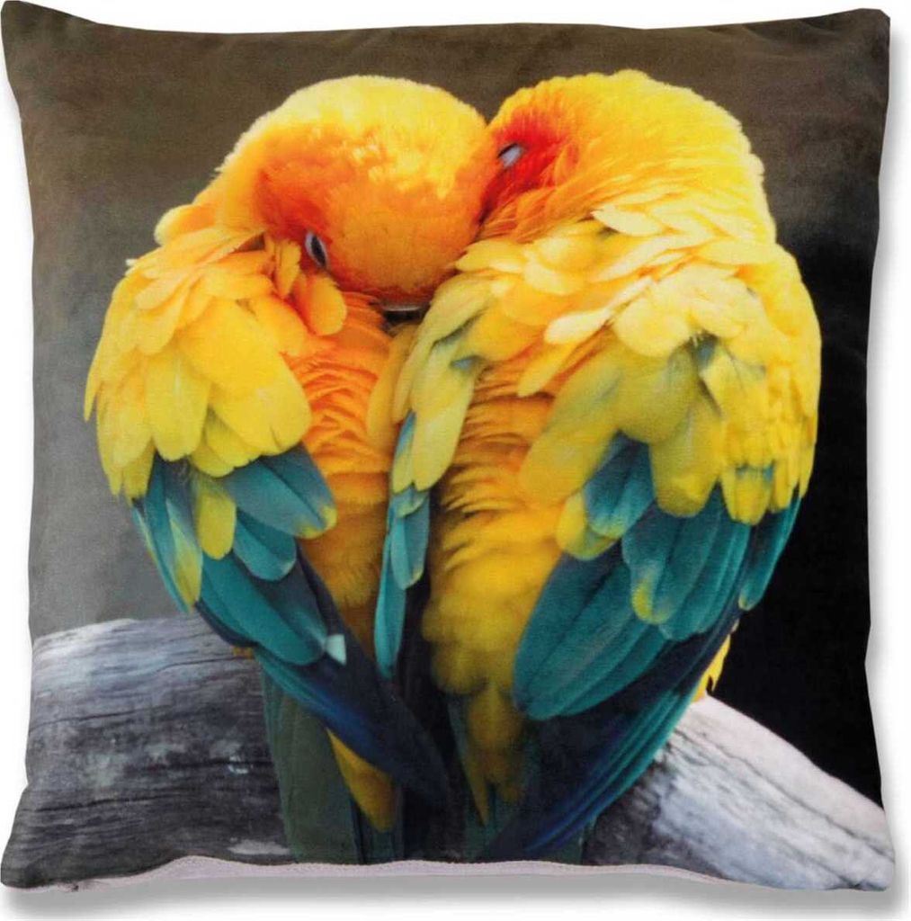Kissenbezug Fotodruck Motiv in 40x40 cm, Flauschig weiche Kissenhülle ohne Füllung, Motiv: Sittiche
