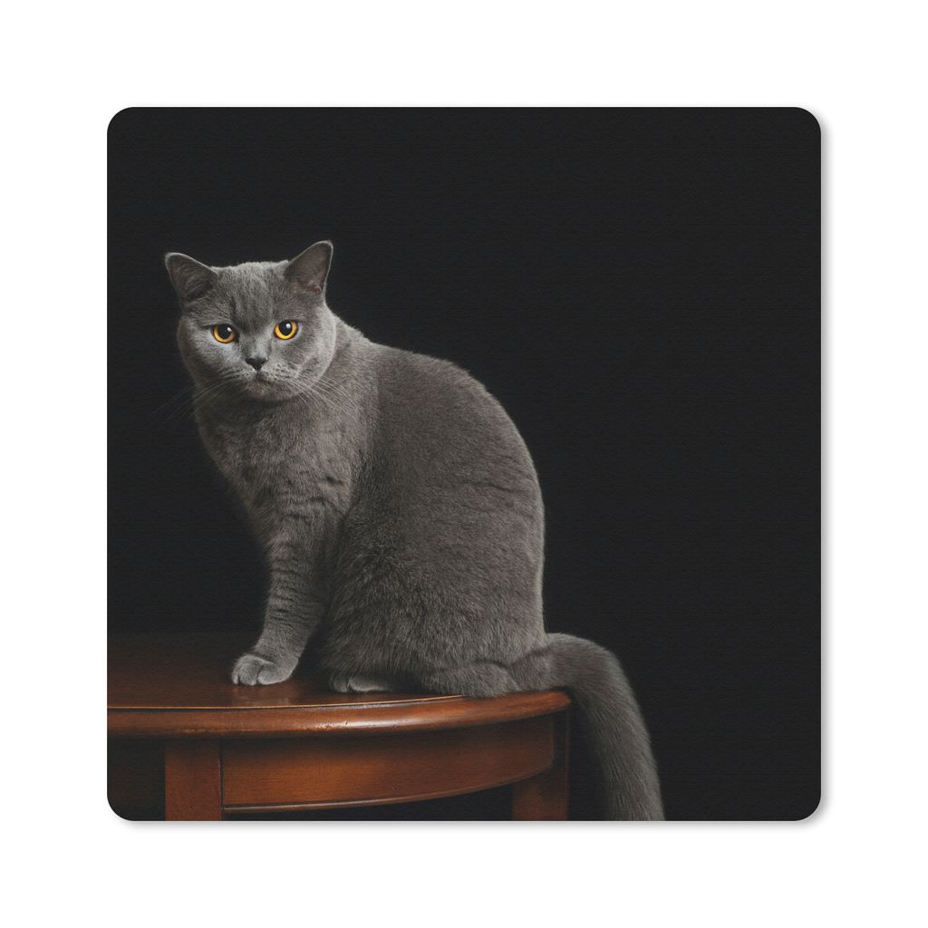 MuchoWow Mauspad Mousepad Porträt einer Britisch-Kurzhaar-Katze 30x30 cm - Mousepads - Maus Mat - Pad - Mausunterlage - Gaming