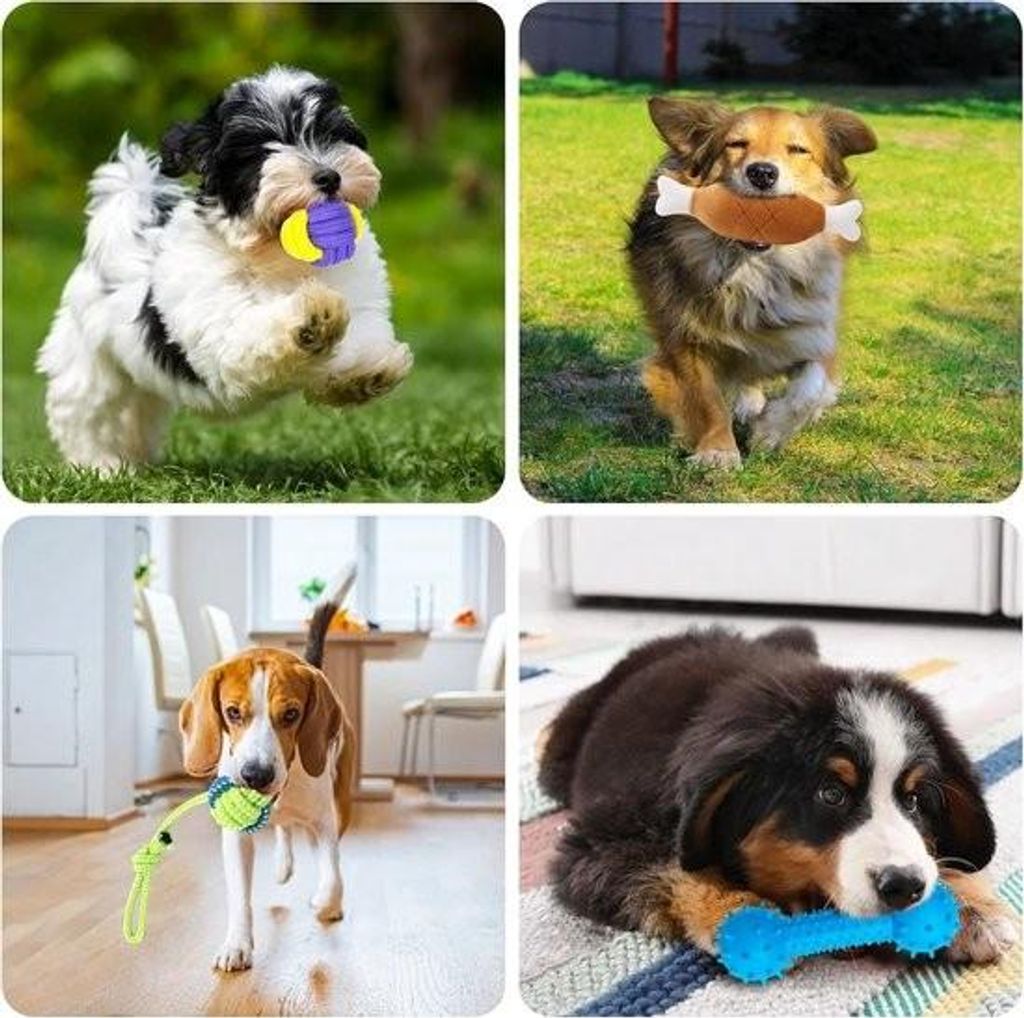 Hundespielzeug – Robustes Hundespielzeug – Interaktives Spielen – Intelligentes Hundespielzeug – Für kleine, mittlere und große Hunde