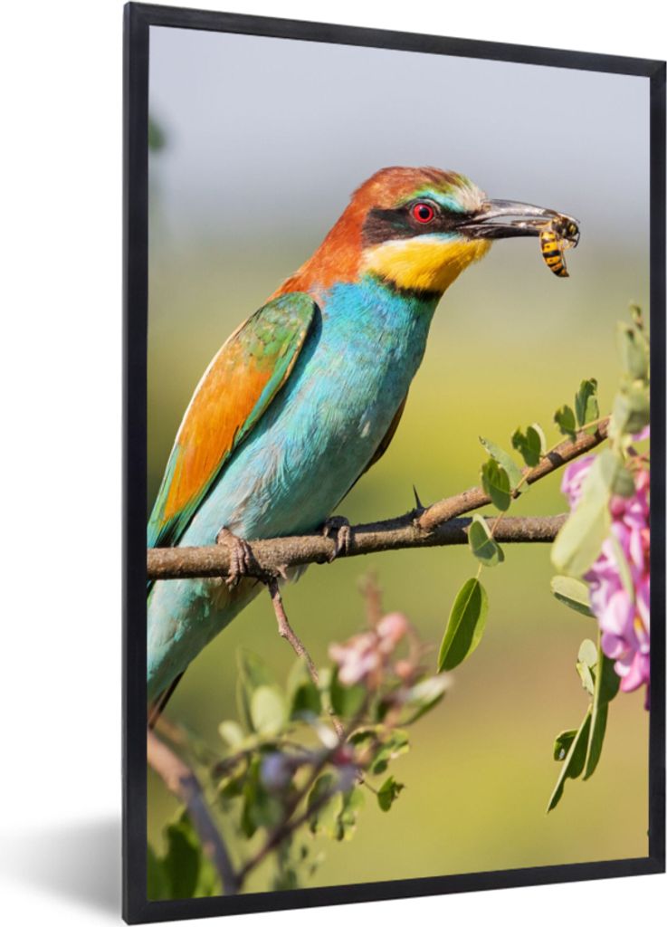 MuchoWow Gerahmtes Poster Vogel - Bienenfresser - Blumen 60x90 cm - Poster mit Schwarzem Bilderrahmen Wandposter Rahmen Foto Bilder - Kunst