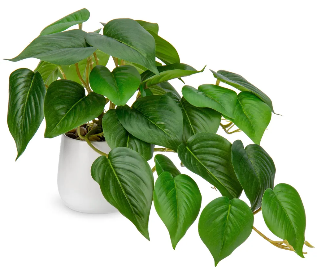Plante Artificielle pour Bureau et Table - Lierre de Jade Décoratif Pro