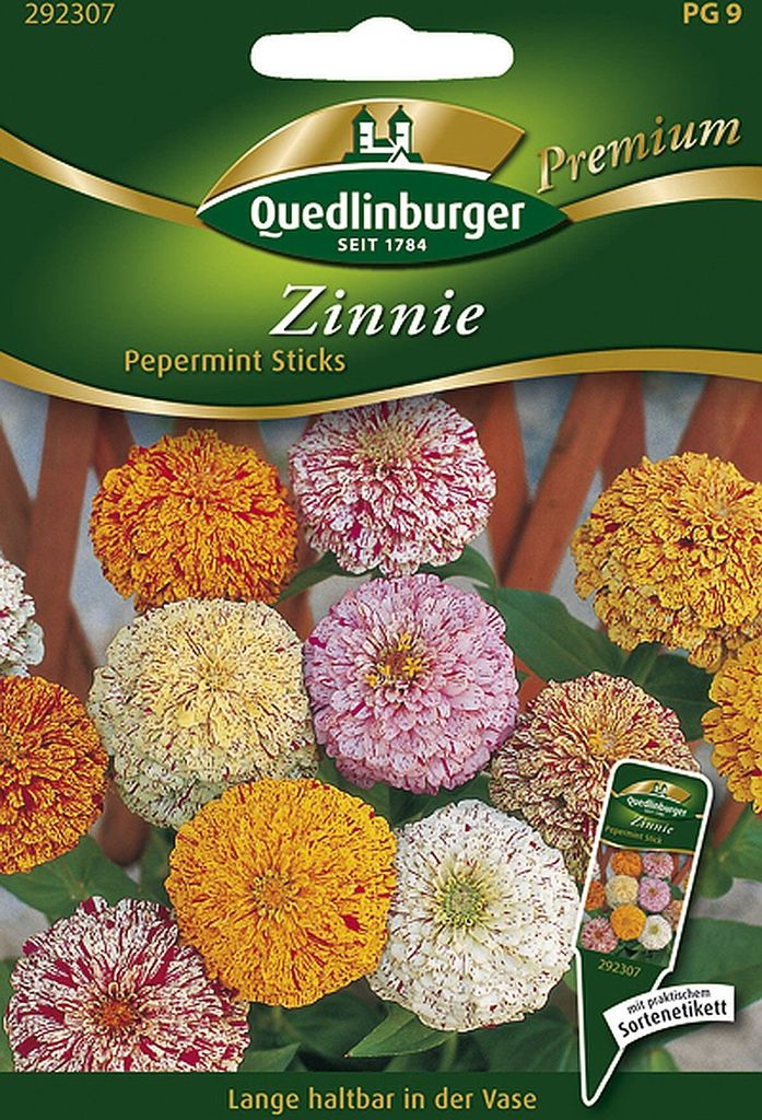 Quedlinburger Saatgut - Zinnien Pepermint Sticks - Samen - 292307