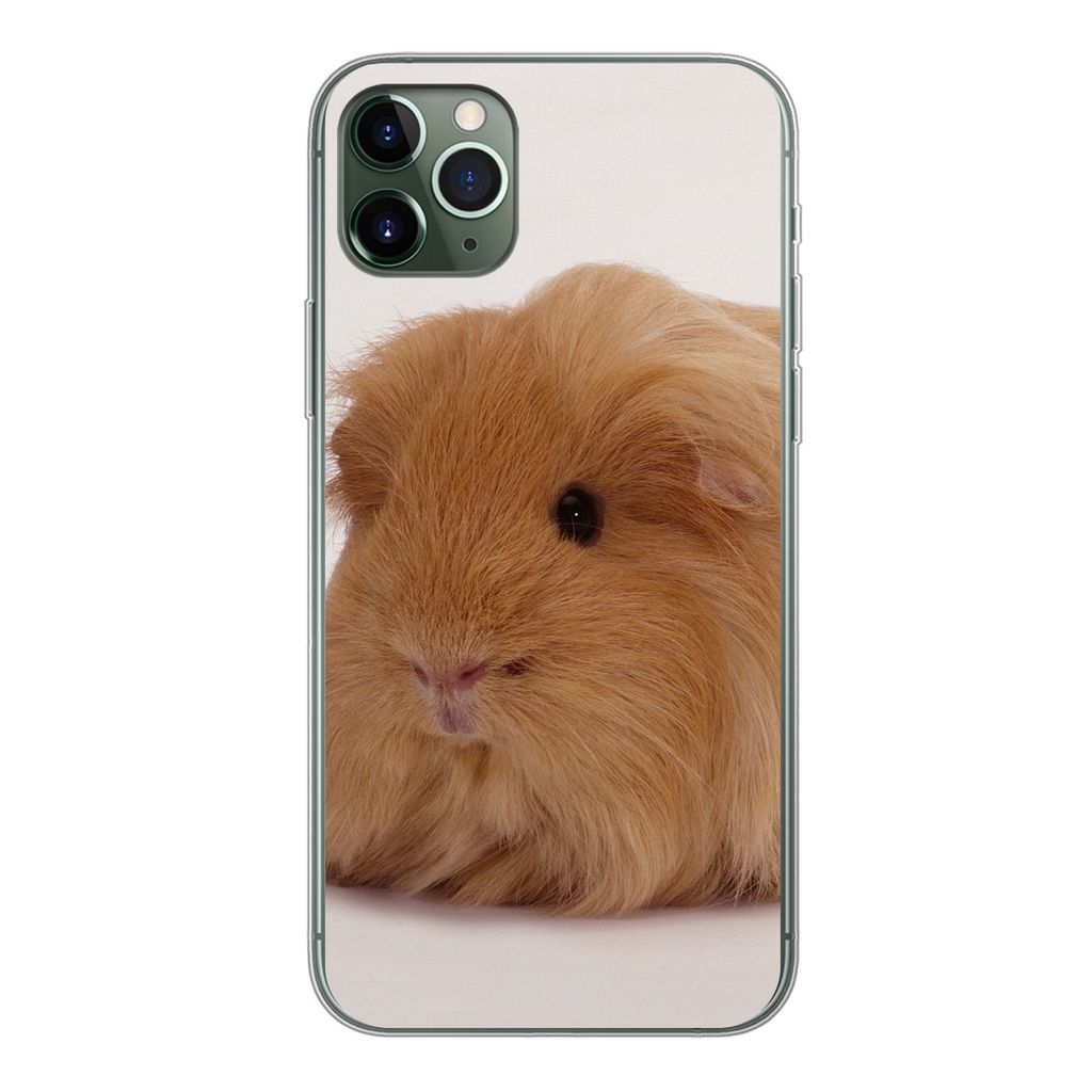 MuchoWow Handyhülle Schutzhülle Hülle für iPhone 11 Pro Max Sheltie-Meerschweinchen Silikon Softcase Handy Hülle - Schutz