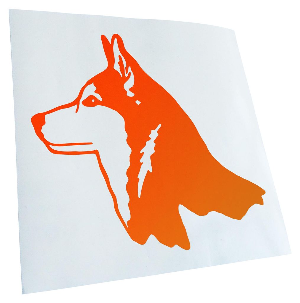 hauptsachebeklebt Kiwistar - Autoaufkleber - Husky Kopf Profil Heckscheibe - Aufkleber für Auto Kfz Fahrrad, LKW, Truck Mofa
