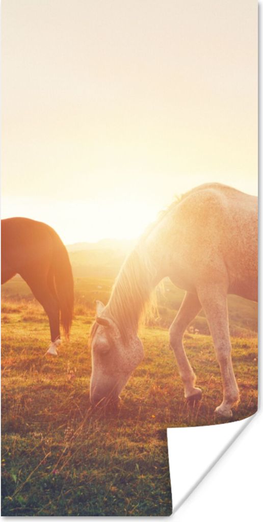 MuchoWow Poster Pferde - Sonne - Tiere 40x80 cm - Dekoration