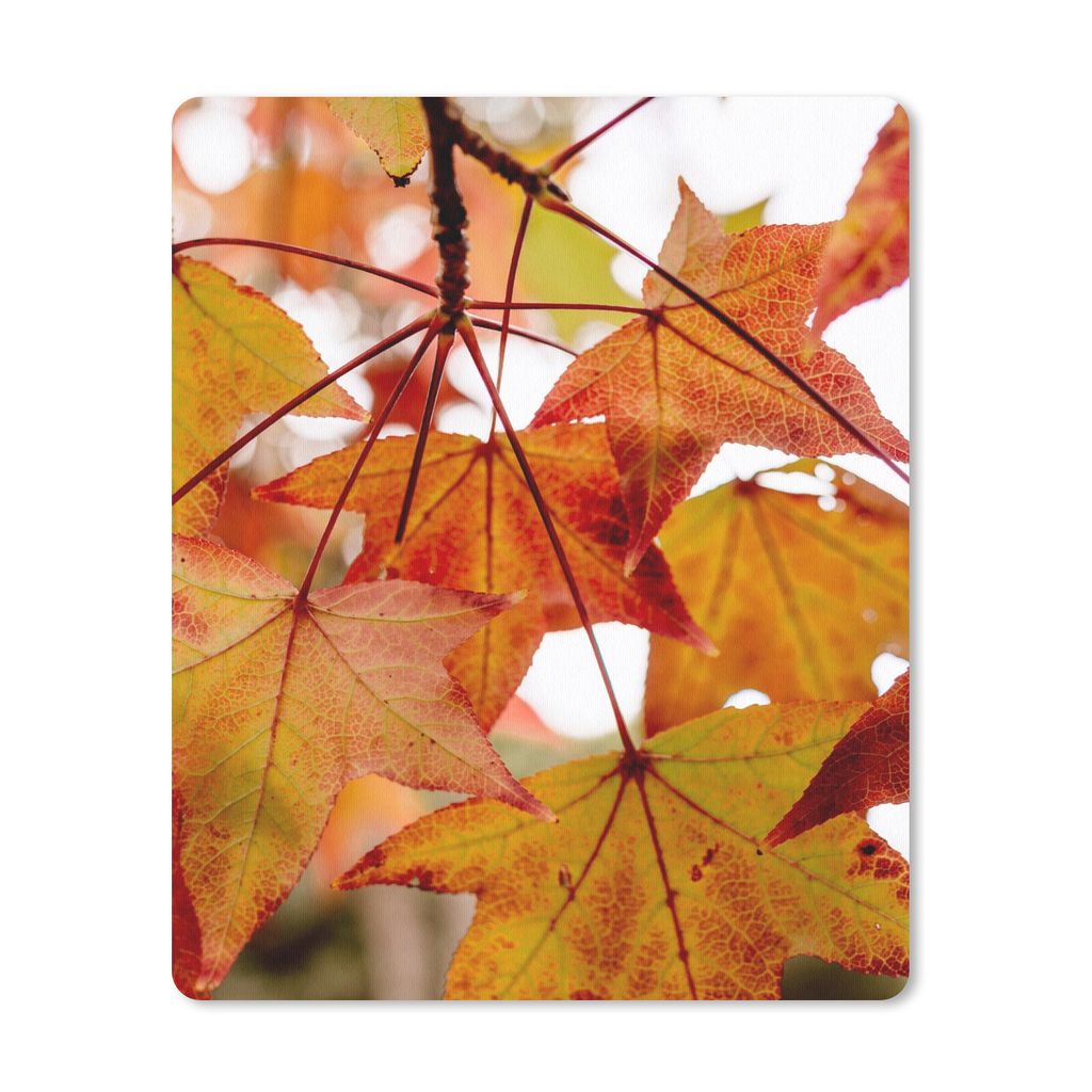 MuchoWow Mauspad Mousepad Herbstzweige - Blätter - Jahreszeiten - Landleben 30x40 cm - Mousepads - Maus Mat - Pad - Mausunterlage - Mausmatten