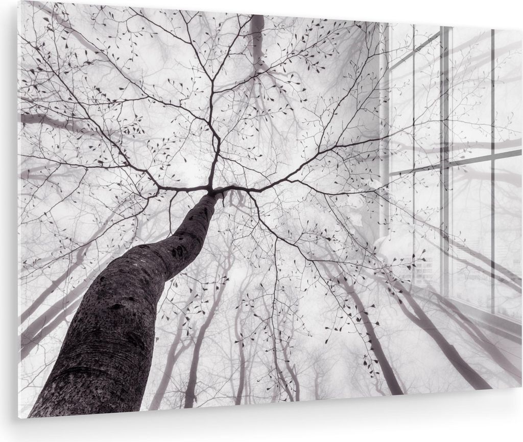 MuchoWow Glasbilder - Bilder auf Wandbild - Foto auf Glas Baum - Äste - Nebel 90x60 cm Wanddekoration aus Glas - Acrylglasbild - Acrylbilder - Wan...