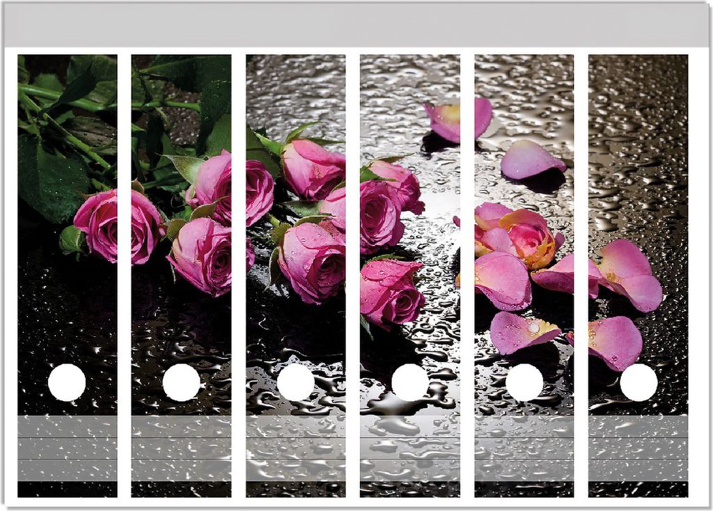 Wallario Ordnerrücken Sticker, selbstklebend für breite Ordner, 6 Stück, Motiv Pinke Rosen mit Wassertropfen