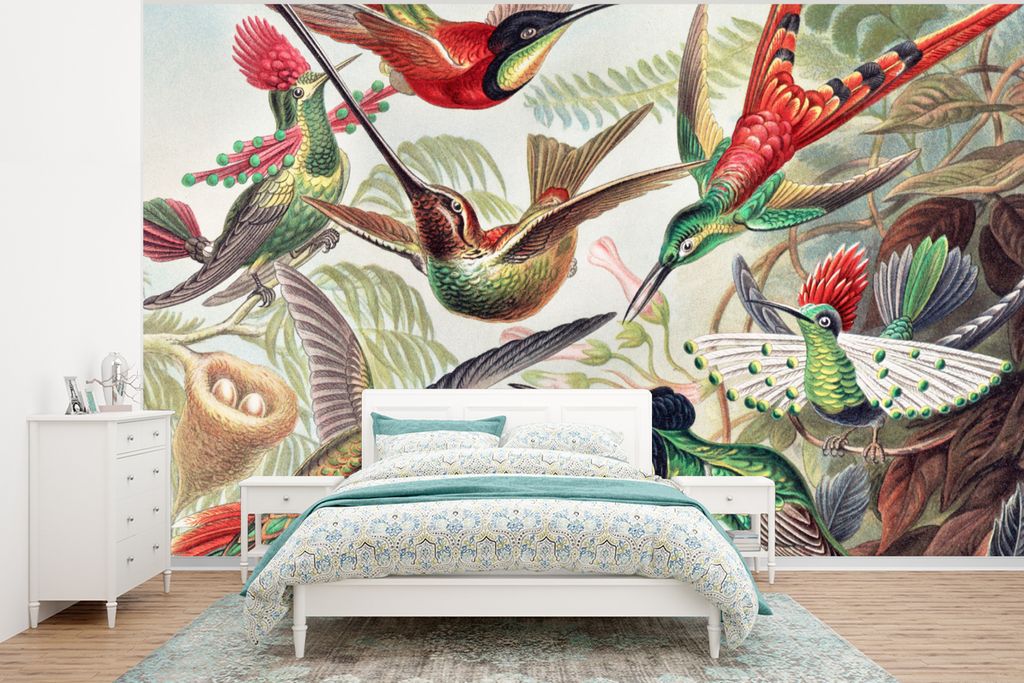 MuchoWow Fototapete für Wohnzimmer oder Schlafzimmer Wandtapete Vinyl Motivtapete Kolibri - Vintage - Ernst Haeckel - Vogel - Kunst - Natur - 40...