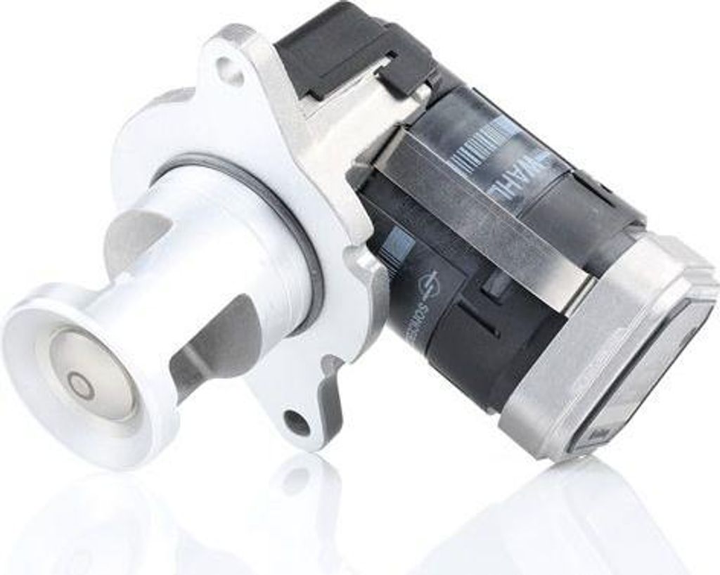 WAHLER 7389D AGR-Ventil mit Dichtung passend für Produktbild 