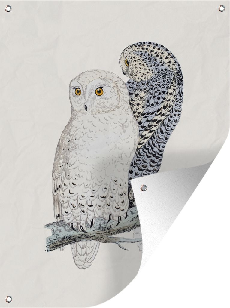 MuchoWow 60x80 cm Outdoor-Poster Gartendeko Sichtschutz Garten Poster für den Garten Illustration einer Schneeeule auf einem Zweig vor einem wei...