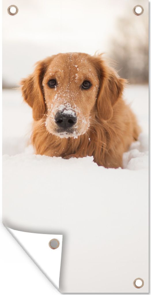 MuchoWow 80x160 cm Outdoor-Poster Gartendeko Sichtschutz Garten Poster für den Garten Hund - Schnee - Winter