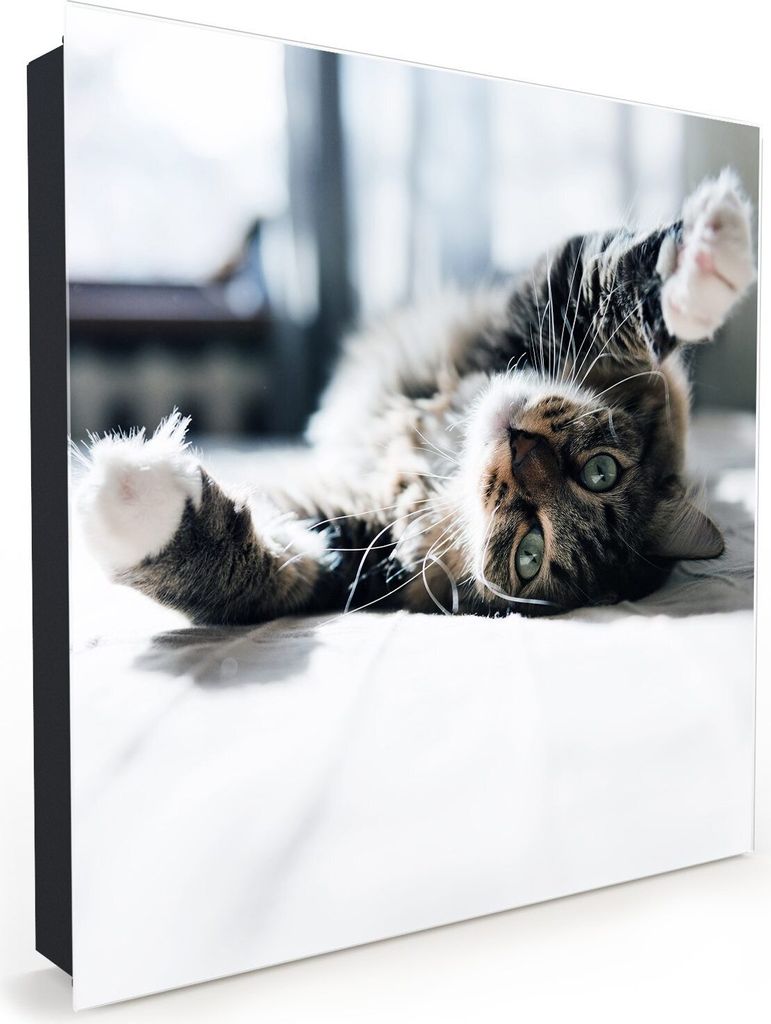 Nachbildung-Schlüsselkasten, Magnetpinnwand und Memoboard mit Glasfront Motiv Graue Katze