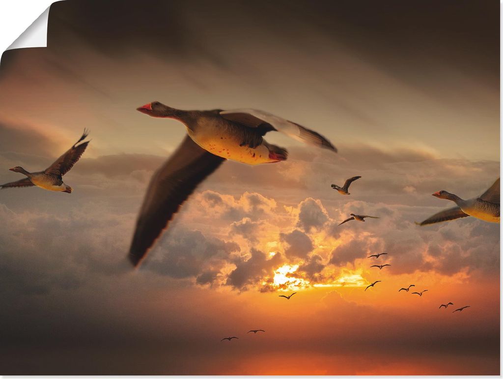 ARTland Poster Der Flug der Wildgänse... Größe: 120x90 cm