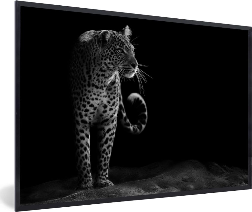 MuchoWow Gerahmtes Poster Wildtiere - Leopard - Natur - Schwarz - Weiß 30x20 cm - Poster mit Schwarzem Bilderrahmen Wandposter Rahmen Foto Bilde...