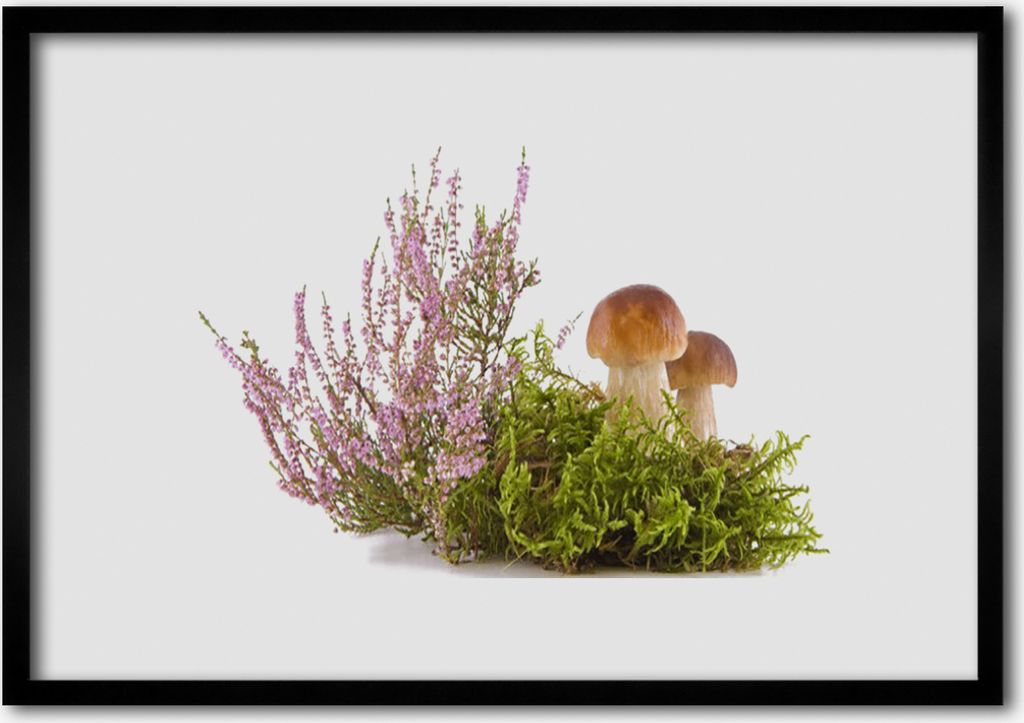 Bild 70x50 MDF-Rahmen Wandkunst Pflanze Pilze Natur Produktbild 