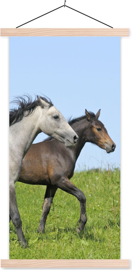 MuchoWow Textilposter Pferde - Tiere - Gras 40x80 cm mit holzfarbenen Rahmen - Wohnzimmer