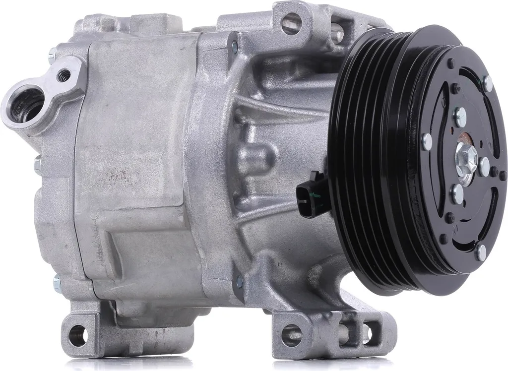 Compresseur de climatisation DENSO DCP09061 pour un air frais en voiture