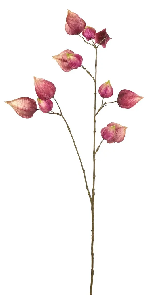 Physalis artificiel violet 95cm : la déco durable sans fleurs fanées