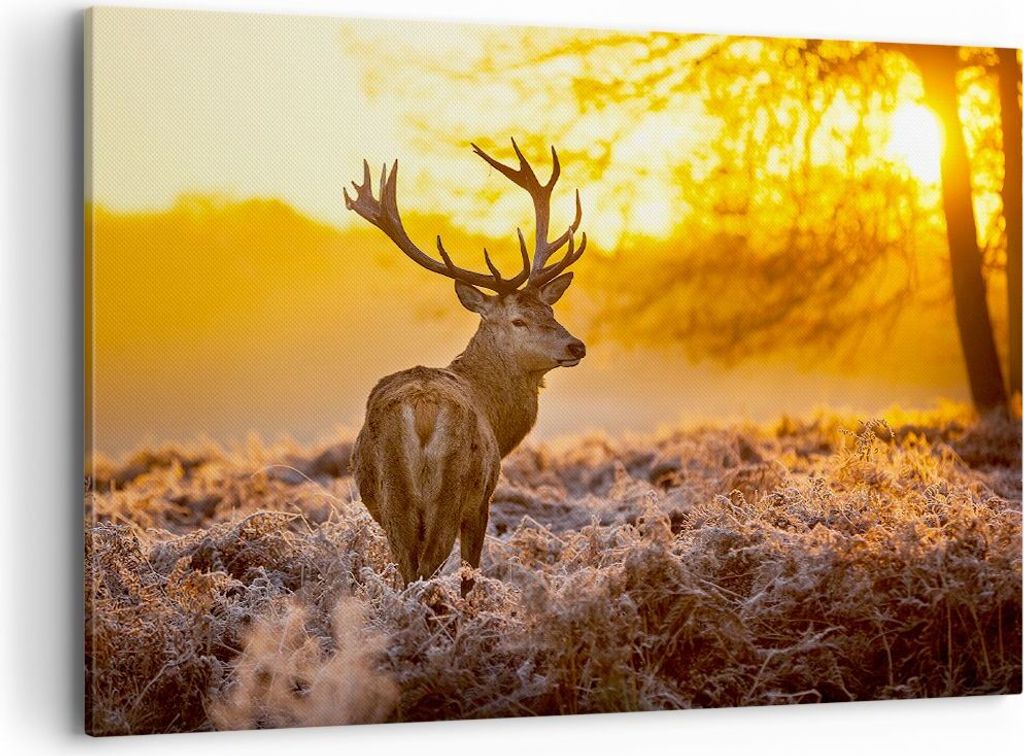 Bild auf Leinwand - Leinwandbild - Herbst landschaft natur blatt - 100x70cm - Wand Bild - Wanddeko - Leinwanddruck - Bilder - Kunstdruck - Wanddeko...