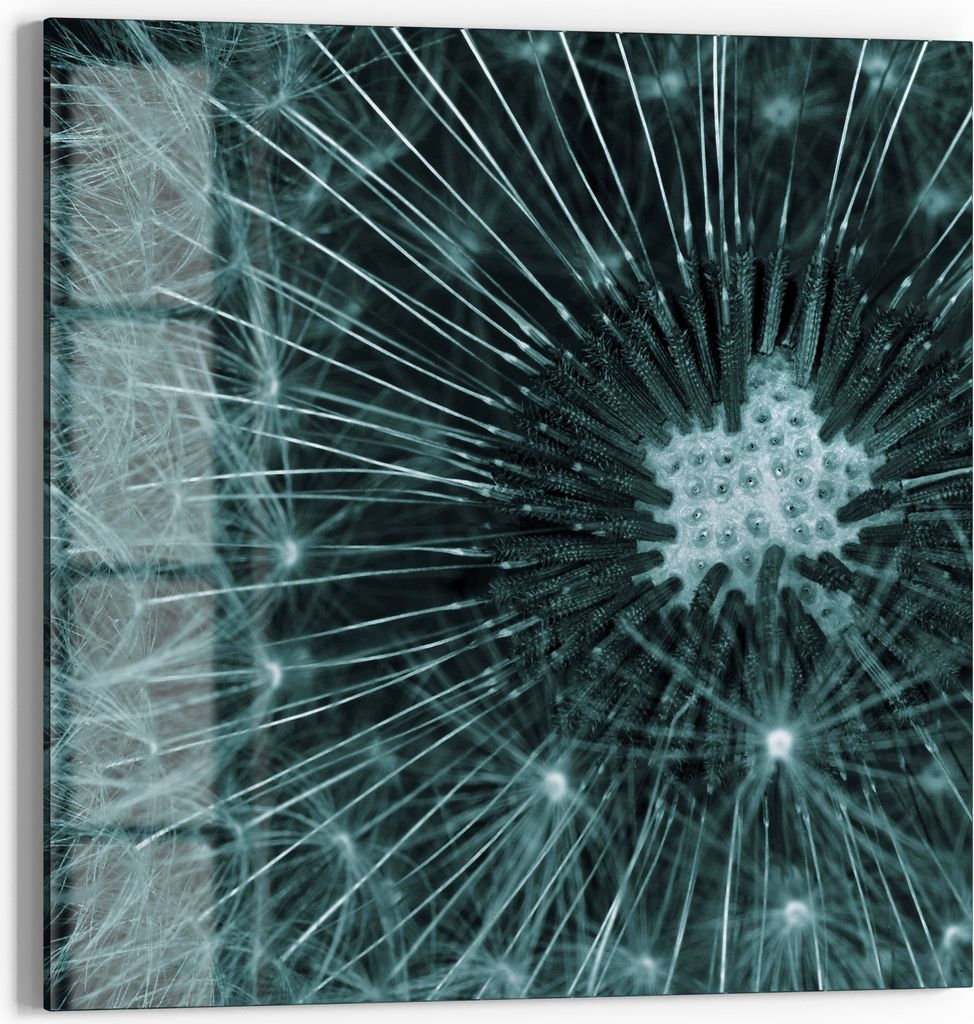 DEQORI Magnettafel Glas 50x50 cm 'Mystische Blüte' beschreibbar Whiteboard Pinnwand Küche