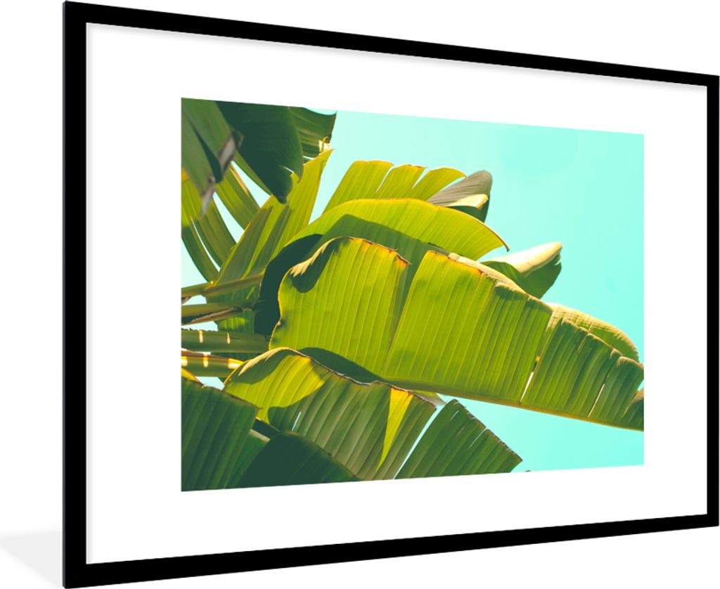 MuchoWow Gerahmtes Poster Bananenblatt - Blätter - Tropisch - Sommer 90x60 cm - Poster mit Schwarzem Bilderrahmen Wandposter Rahmen Foto Bilder ...