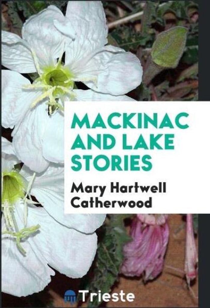 Mackinac and lake stories