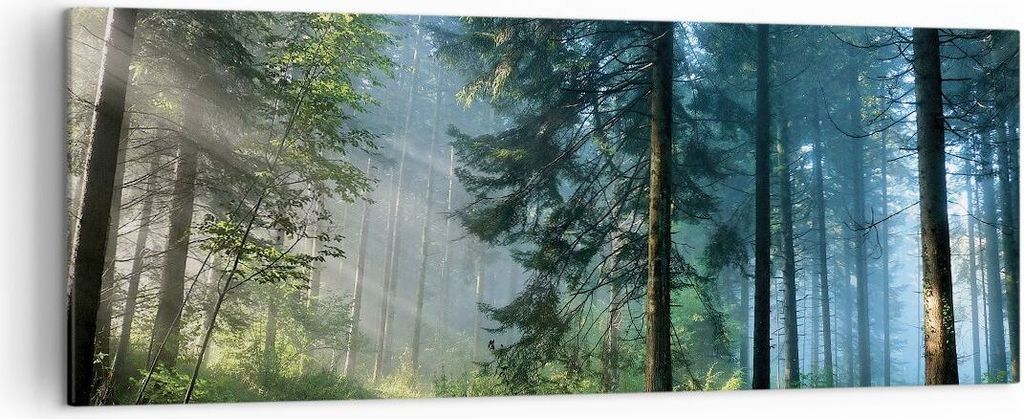 Bild auf Leinwand - Leinwandbild - Einteilig - Wald Dämmerung die Sonne - 140x50cm - Wand Bild - Wanddeko - Wandbilder - Leinwanddruck - Bilder - ...