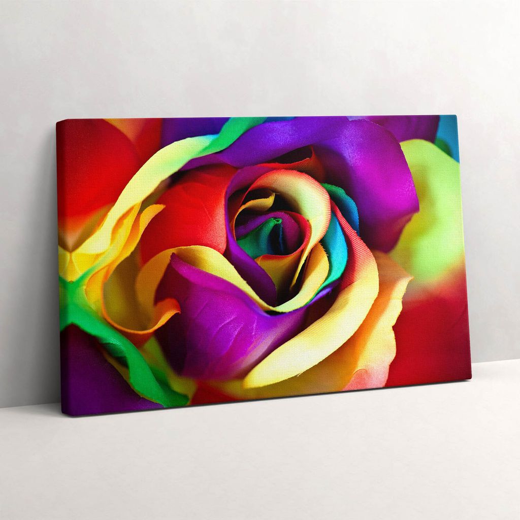 Regenbogenrose – Leinwandbild Wandbild – 30x20 cm – Leinwandbilder – Wandbilder – Schlafzimmer – Flur