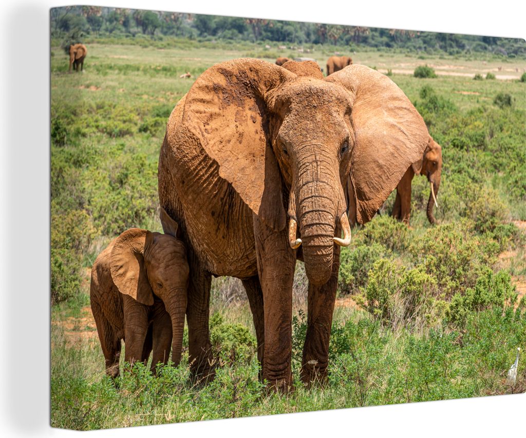 OneMillionCanvasses - Leinwandbilder - 140x90 cm, Elefantenmutter mit ihrem Baby im Gras, Wandbilder Kunstdruck Wanddekoration