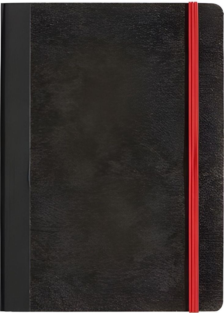 PAGNA 26043-04 PAGNA Notizbuch Classica, DIN A4, kariert, Image du produit 