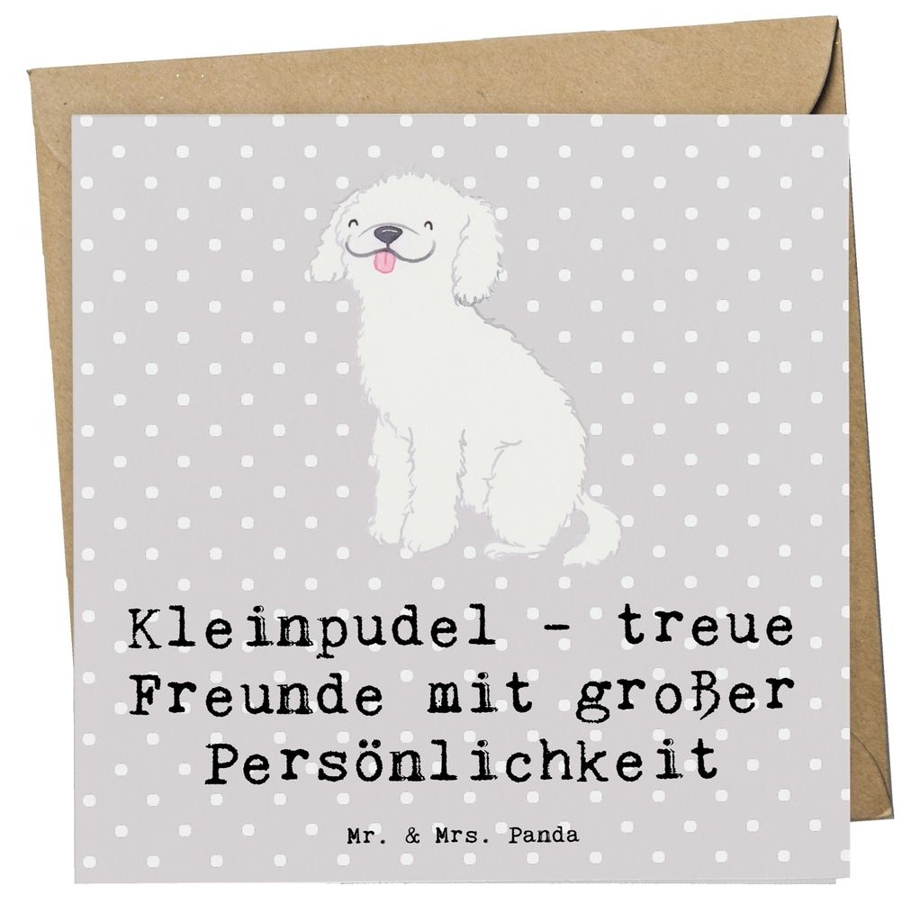 Mr. & Mrs. Panda Grußkarte Kleinpudel Freunde - Grau Pastell - Geschenk, Glückwunschkarte, Hunderassen, einzigartige Haustiere, hypoallergen, fal...