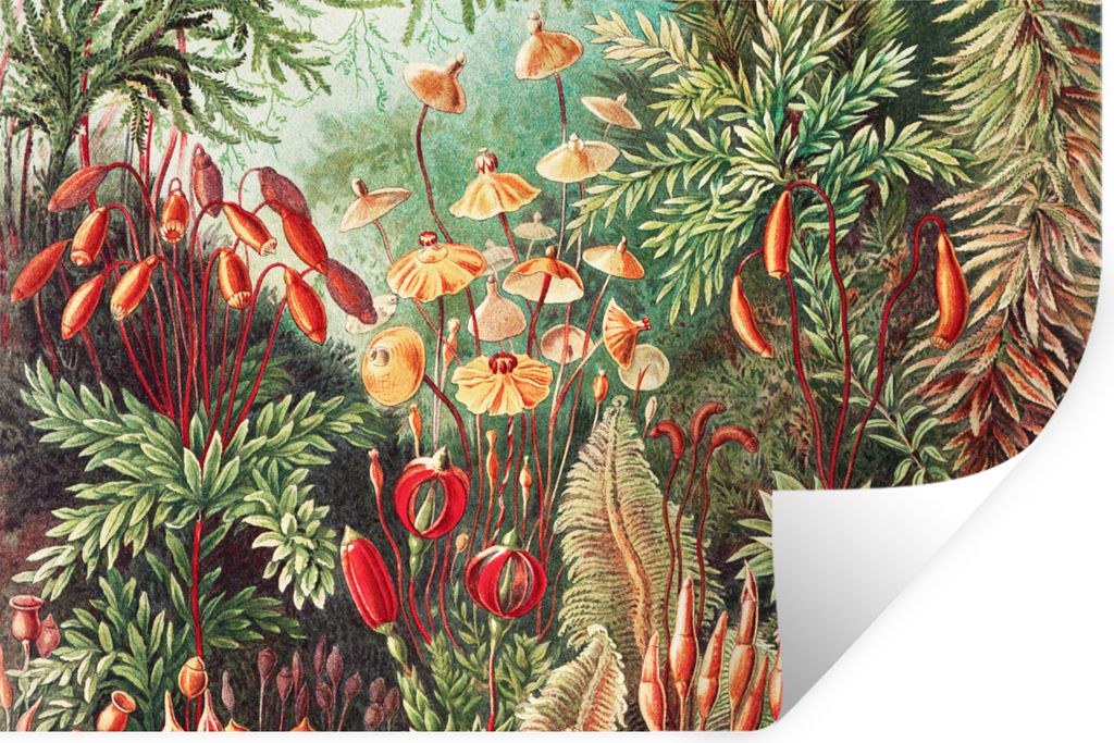 MuchoWow Wandtattoo Wandsticker Wandaufkleber Blumen - Kunst - Vintage - Natur - Botanisch 90x60 cm Selbstklebend und Repositionierbar - Aufkleber