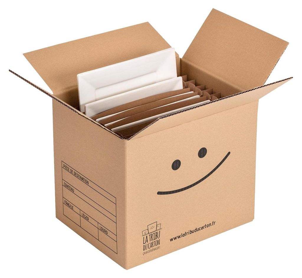 Carton 9 assiettes