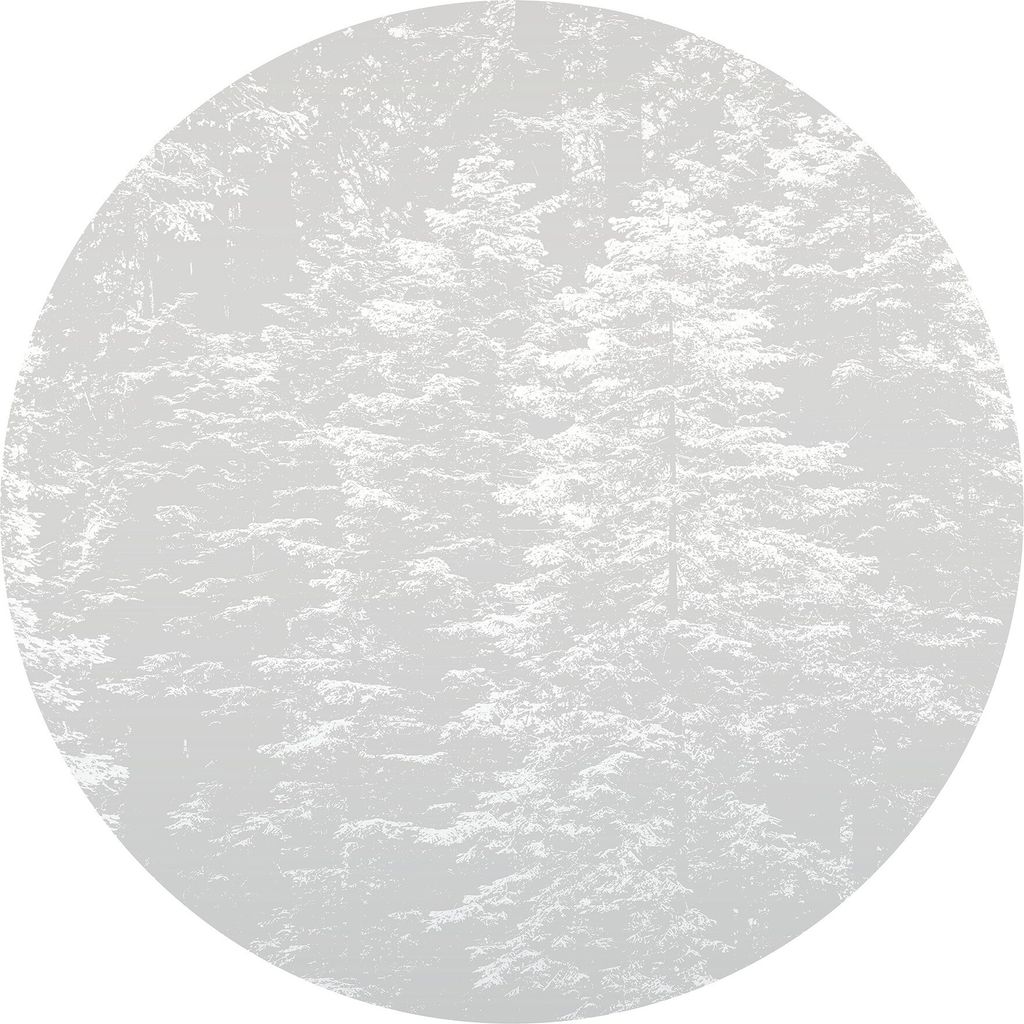 Fototapete 2553N-71 Digitaldruck Natur Landschaft 1.5 x 2.7 m Erismann Fashion for Walls digital Grau