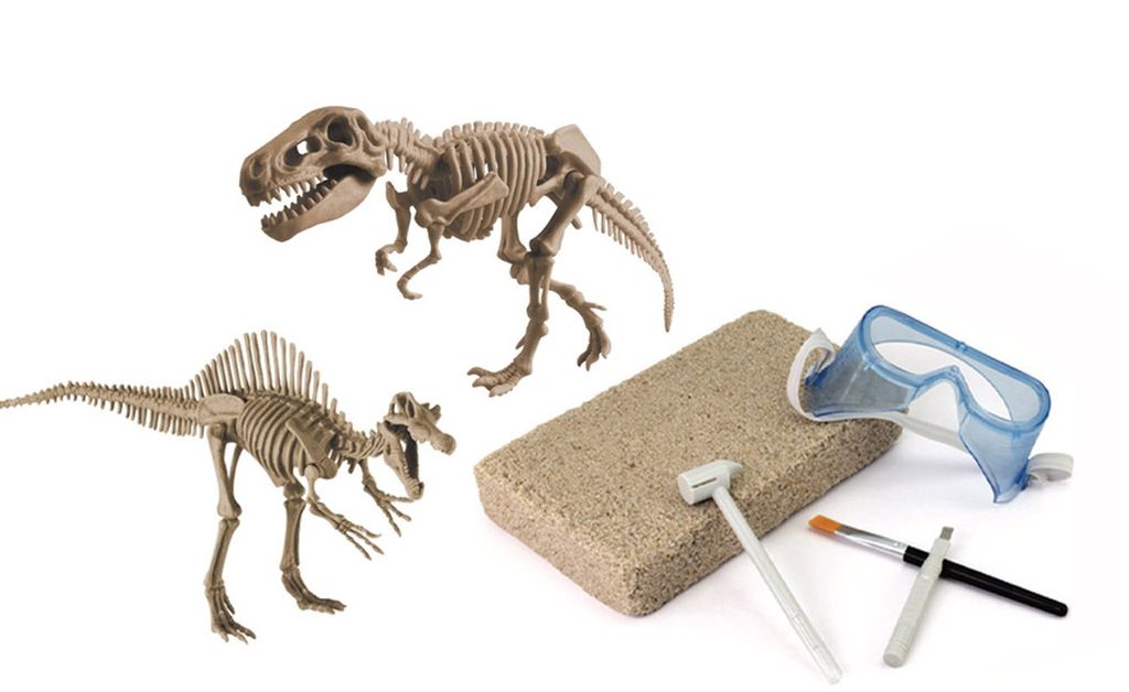 Großes Dinosaurier Skelett Ausgrabungs Set Dinosaurier Kinderspielzeug 