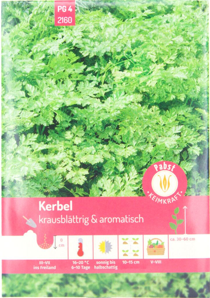 Kerbel &amp;quot;Commun&amp;quot; Saatgut 80 Pflanzen Sämereien | Kaufland.de