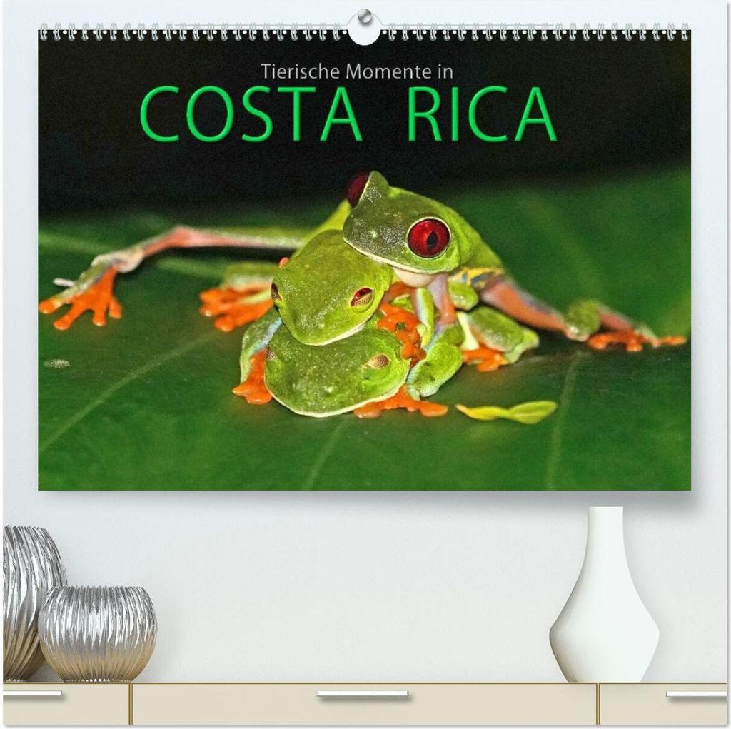 COSTA RICA - Tierische Momente (hochwertiger Premium Wandkalender 2026 DIN A2 quer), Kunstdruck in Hochglanz