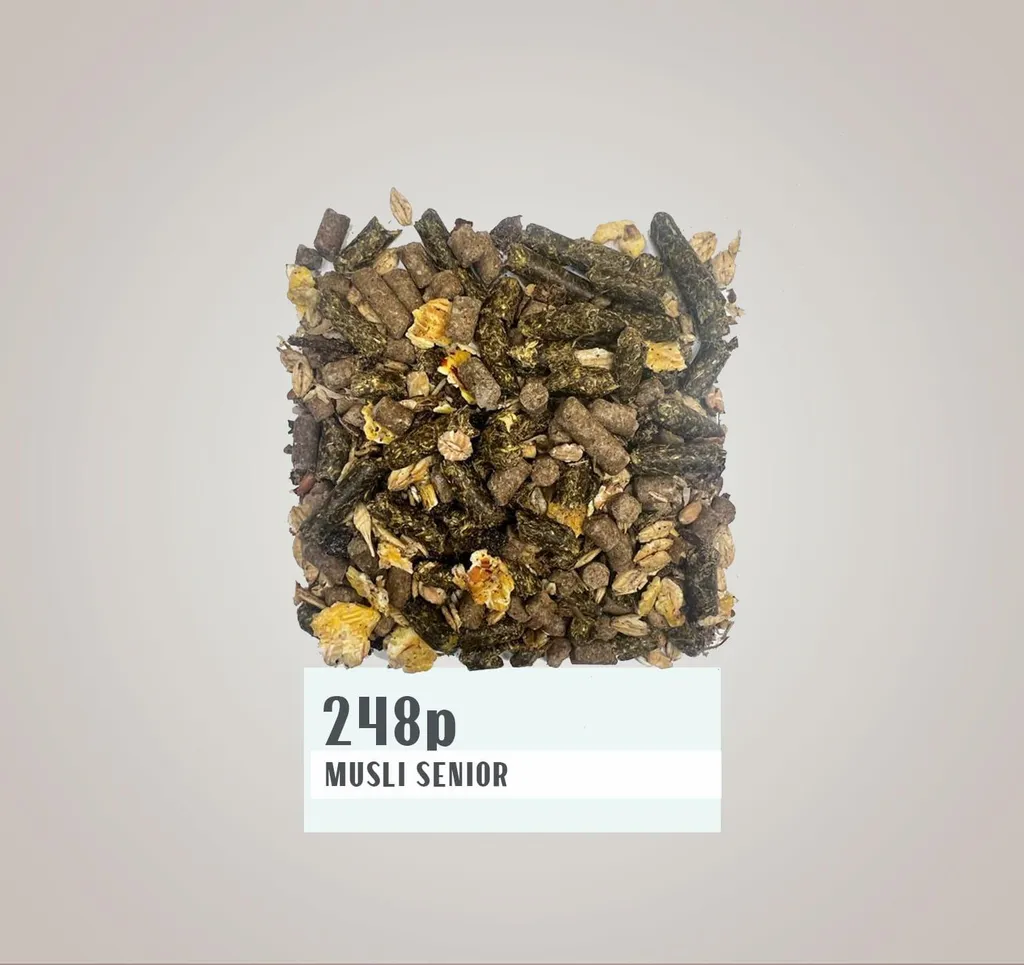 Solution chevaux difficiles 248 P Senior Muesli sans avoine Oméga-3