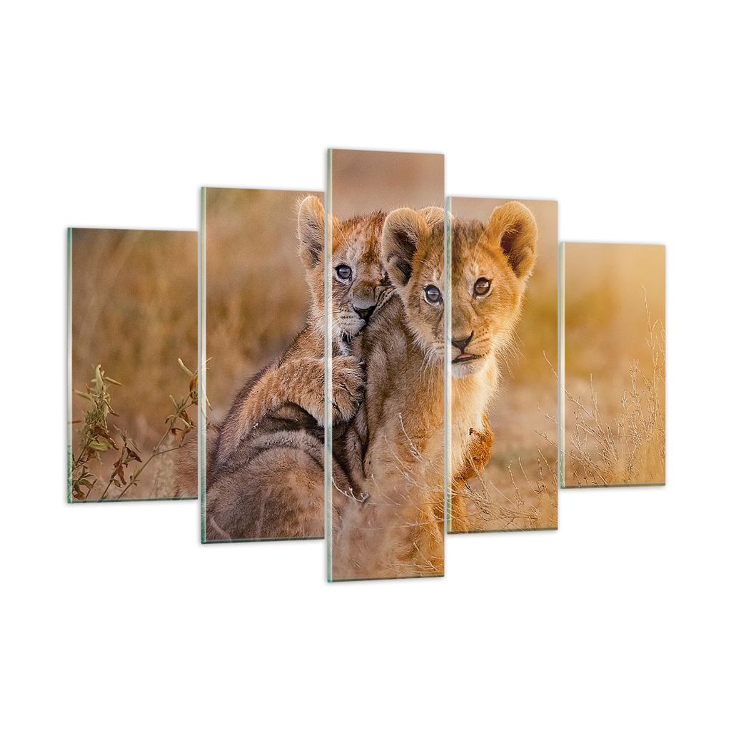 Bilder auf glas - Löwe Natur Tier - 150x100cm - Glasbilder - Wandbilder - Kunstdruck - zum Aufhängen bereit - Wanddekoration aus Glas - Glas Bild...