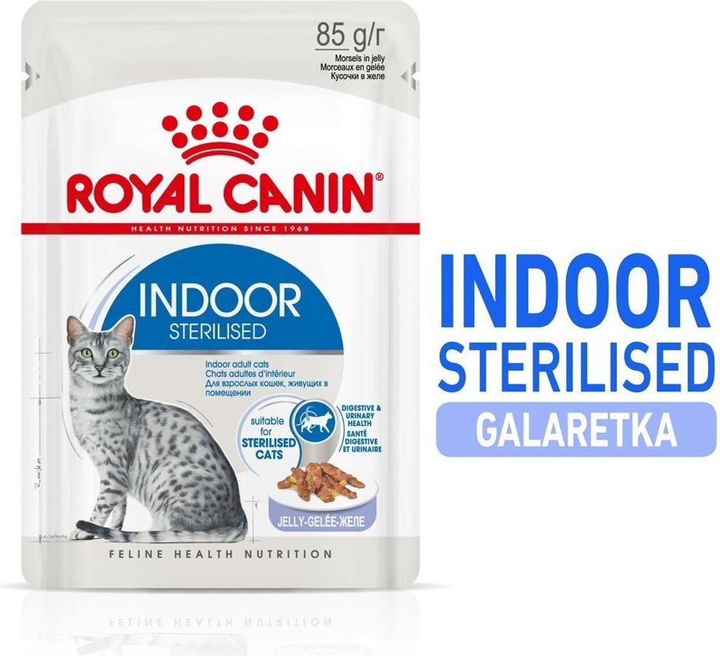 ROYAL CANIN Indoor Sterilised W Galaretce 12x85g Zdjęcie produktu 