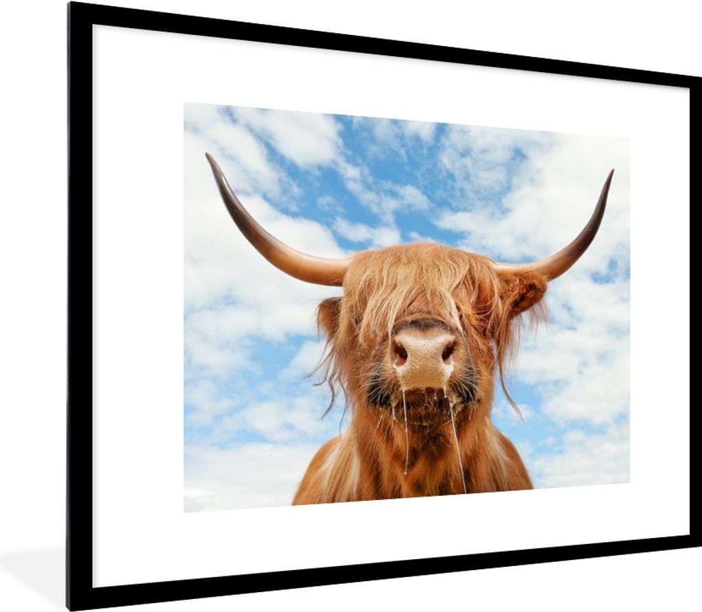 MuchoWow Gerahmtes Poster Schottischer Highlander - Wolke - Tiere 80x60 cm - Poster mit Schwarzem Bilderrahmen Wandposter Rahmen Foto Bilder - Sc...