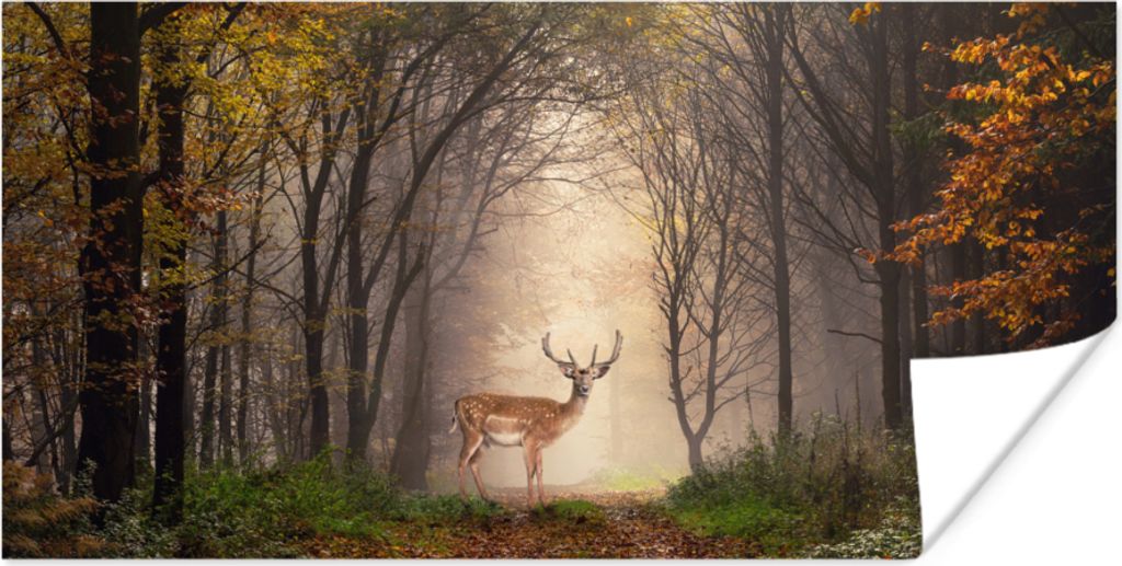 MuchoWow Poster Hirsch - Baum - Wald 150x75 cm - ohne Rahmen