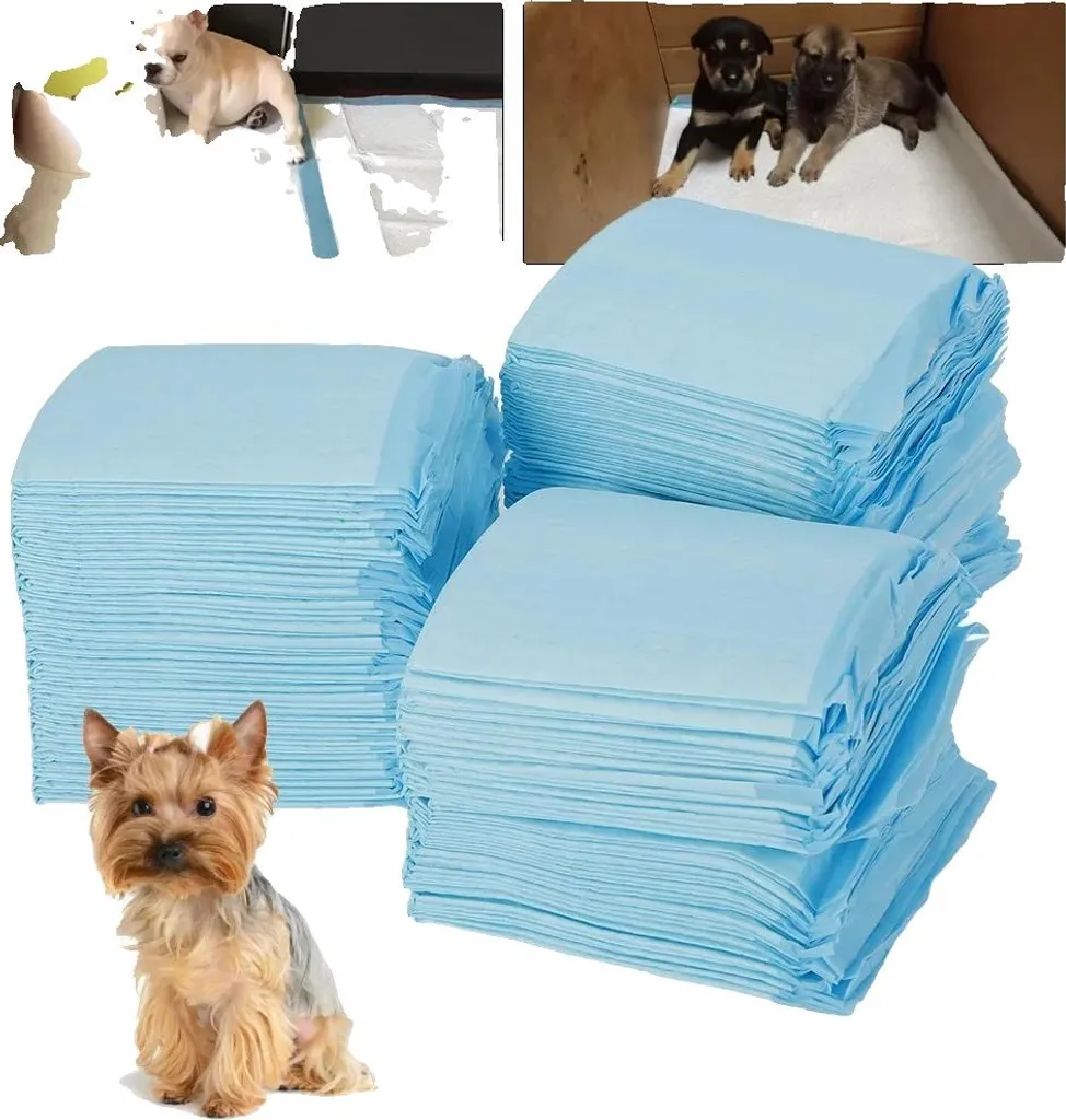 Tapis de dressage pour chien ultra absorbant, boîte de 100 alèses jetables