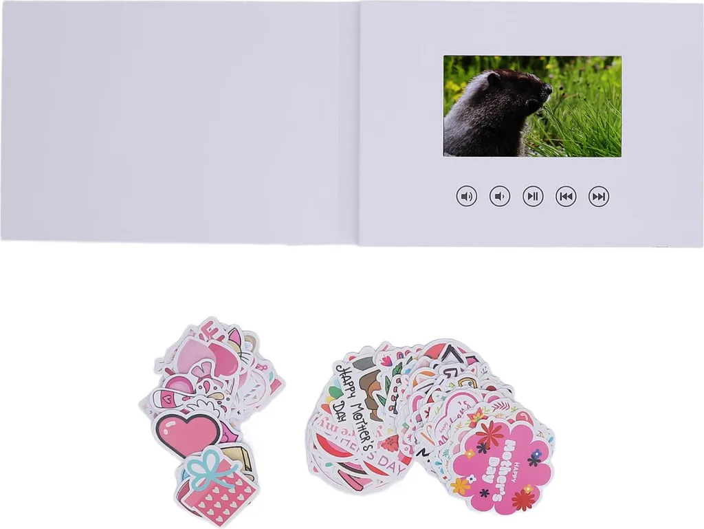Carte vidéo LCD HD 720P avec écran 5 pouces et stockage de 128 Mo intégré