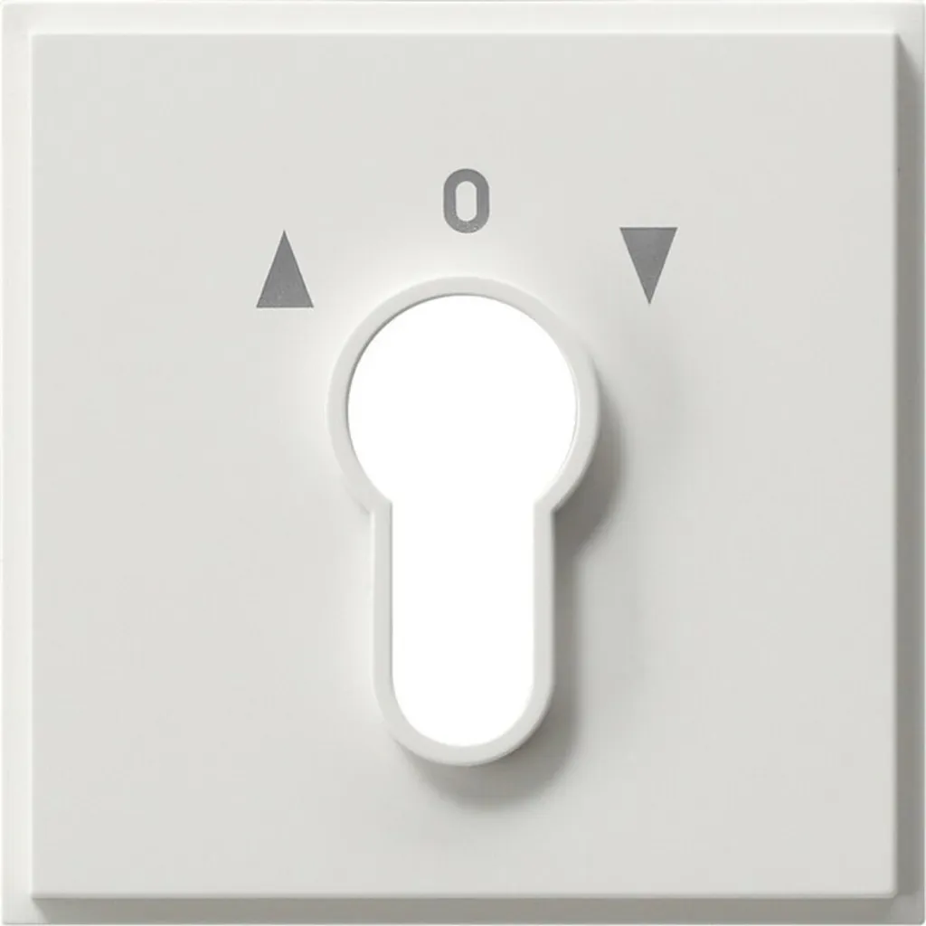 Plaque Centrale pour Clé Gira 066466 : Design Blanc Pur Durable